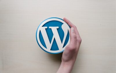 Agence WordPress offshore, aussi experts WooCommerce