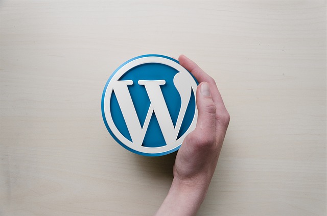 Agence d'expert WordPress et WooCommerce en Belgique